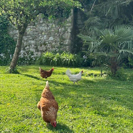 B&B Antico Fienile Gorizia Exteriér fotografie